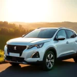 gR2PdTHcGOjrT82h7MZ7W