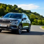 qAyLXpt5tZ3TkqLyDglIa